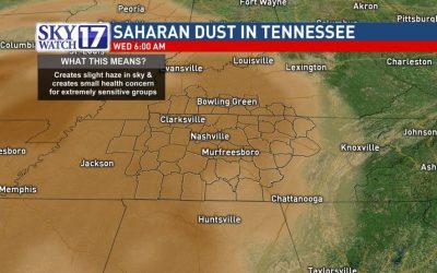 Why Tennessee Allergy Sufferers Need the Best HEPA Air Filters!
